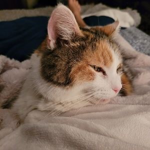 Meet your Posher, Misty